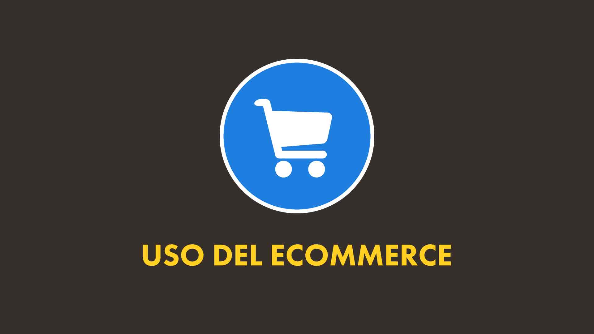 Uso del Ecommerce (2/2)