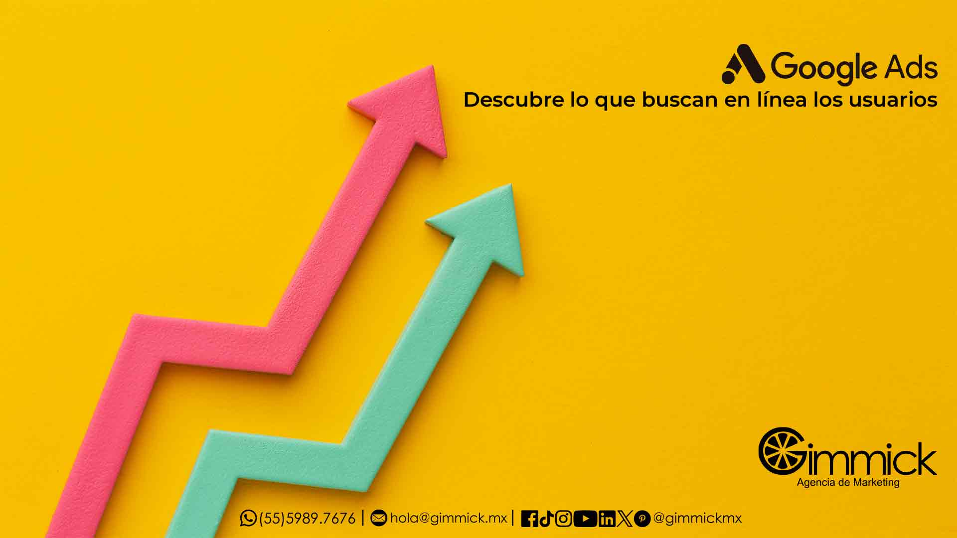 Descubre lo que buscan en línea los usuarios